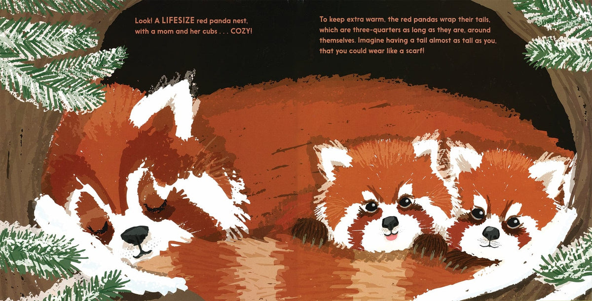 EDC Publishing Lifesize Baby Animals - Little Miss Muffin Children & Home