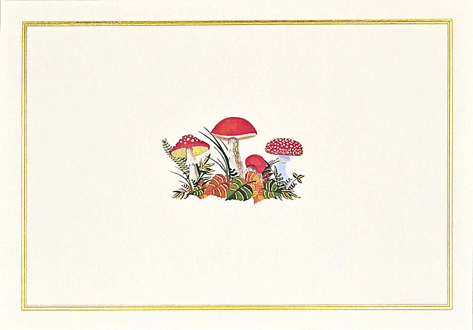 Peter Pauper Press Peter Pauper Press Mushrooms Note Cards - Little Miss Muffin Children & Home