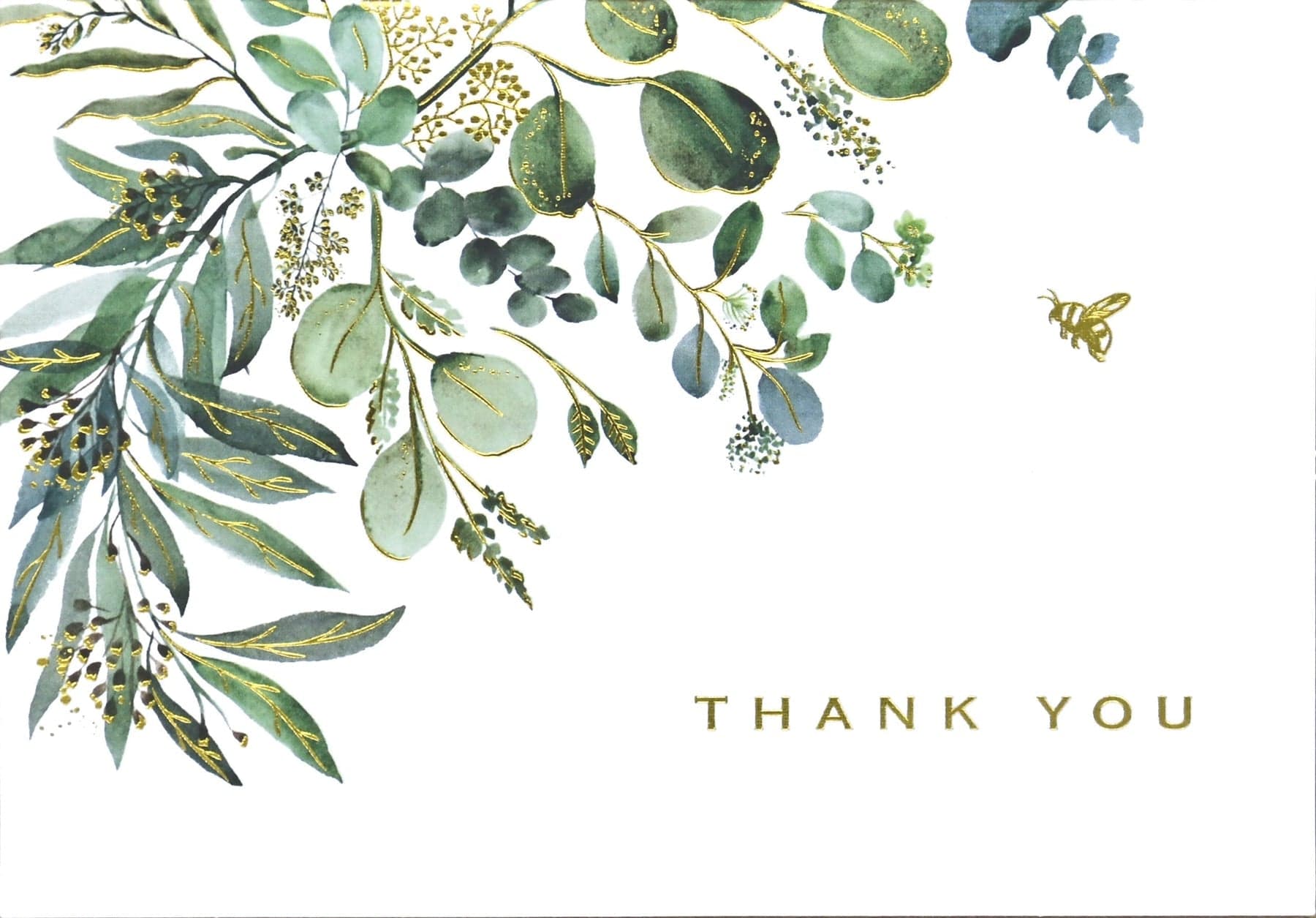 Peter Pauper Press Peter Pauper Press Eucalyptus Thank You Note Cards - Little Miss Muffin Children & Home