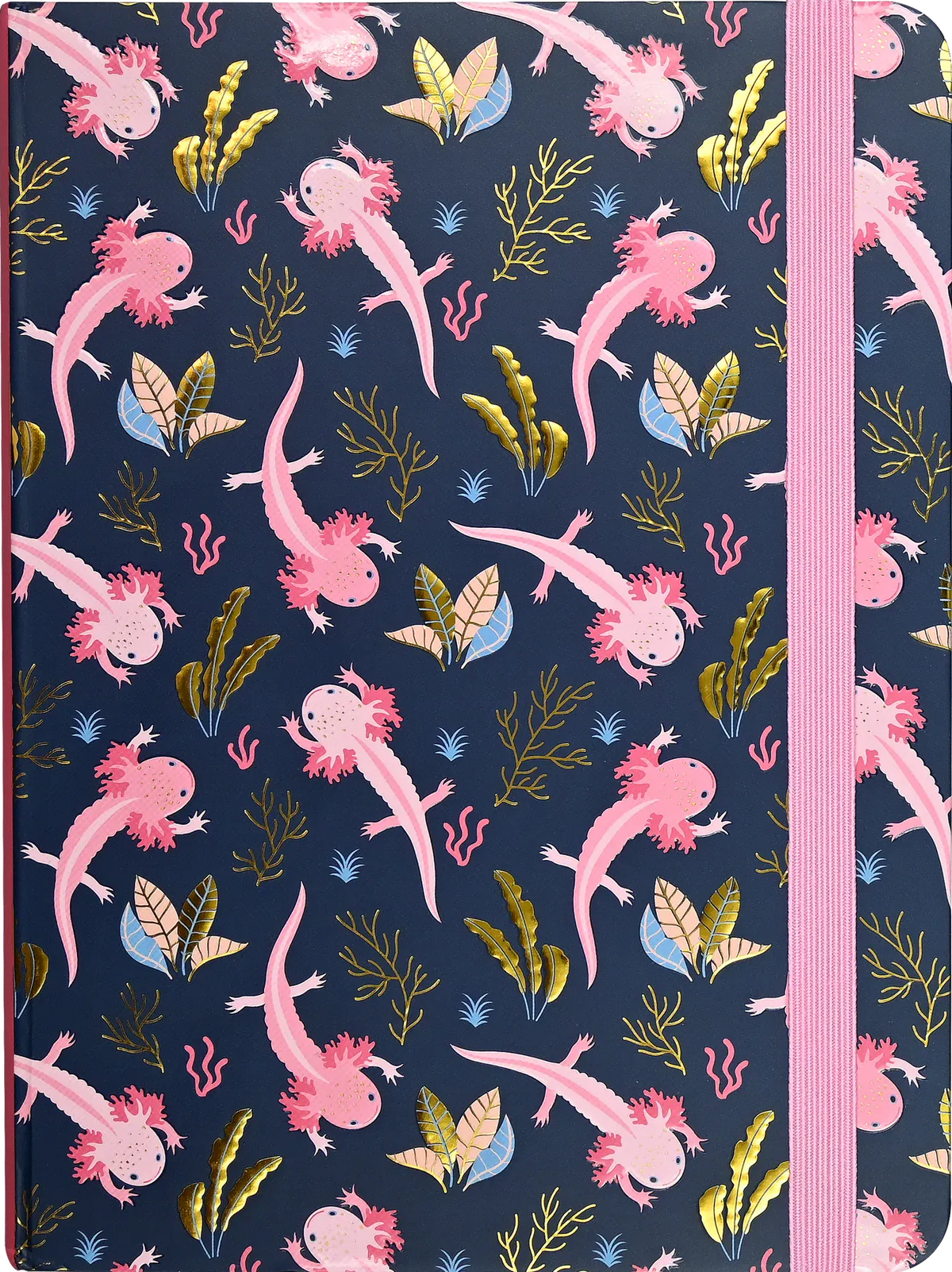 Axolotls Journal