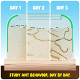 Dan&Darci Ant Farm Kit For Kids, Sand Habitat, Includes Ant Voucher