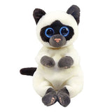 Ty Inc Beanie Belly Miso the Siamese Cat 6" Plush