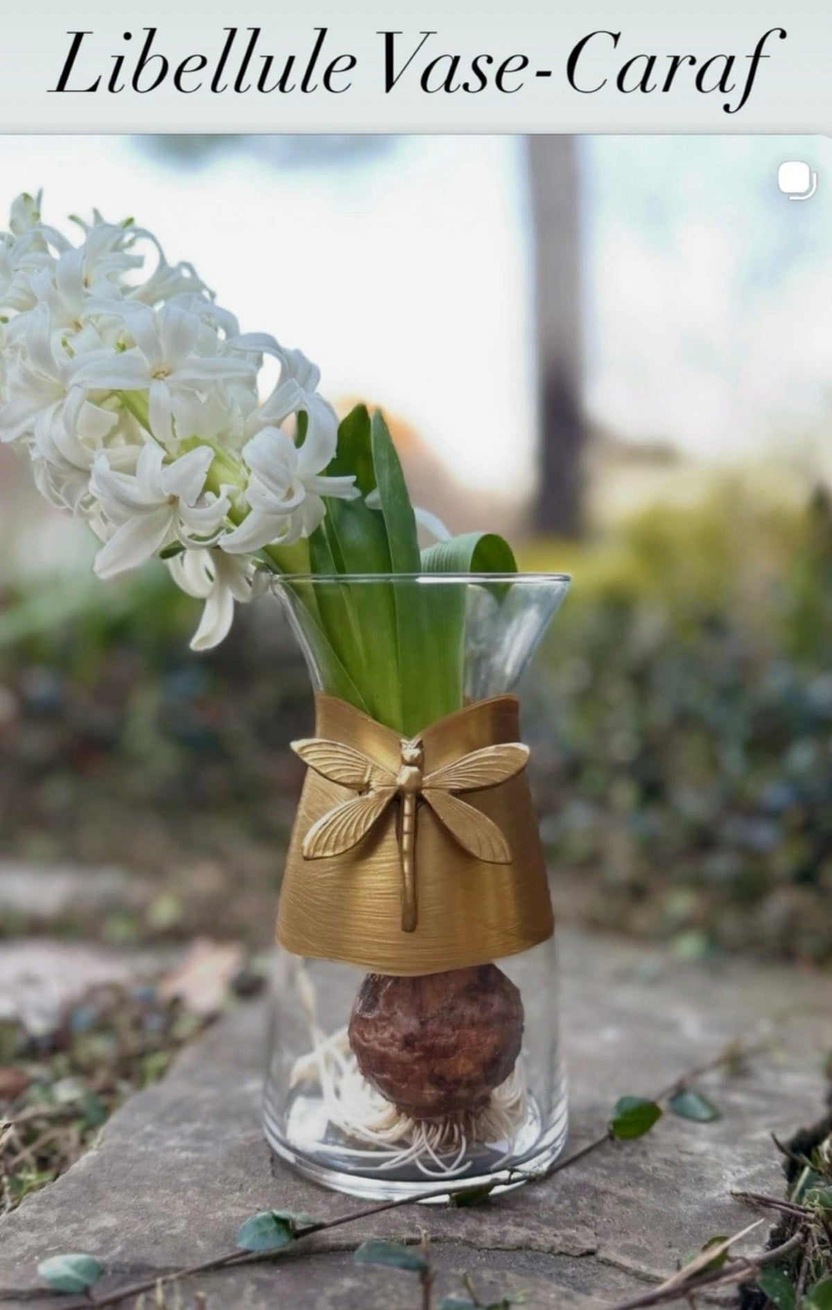 Vase-Carafe Libellule Andre (Dragonfly)