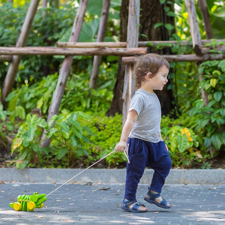 Dancing Alligator Wooden Pull Toy