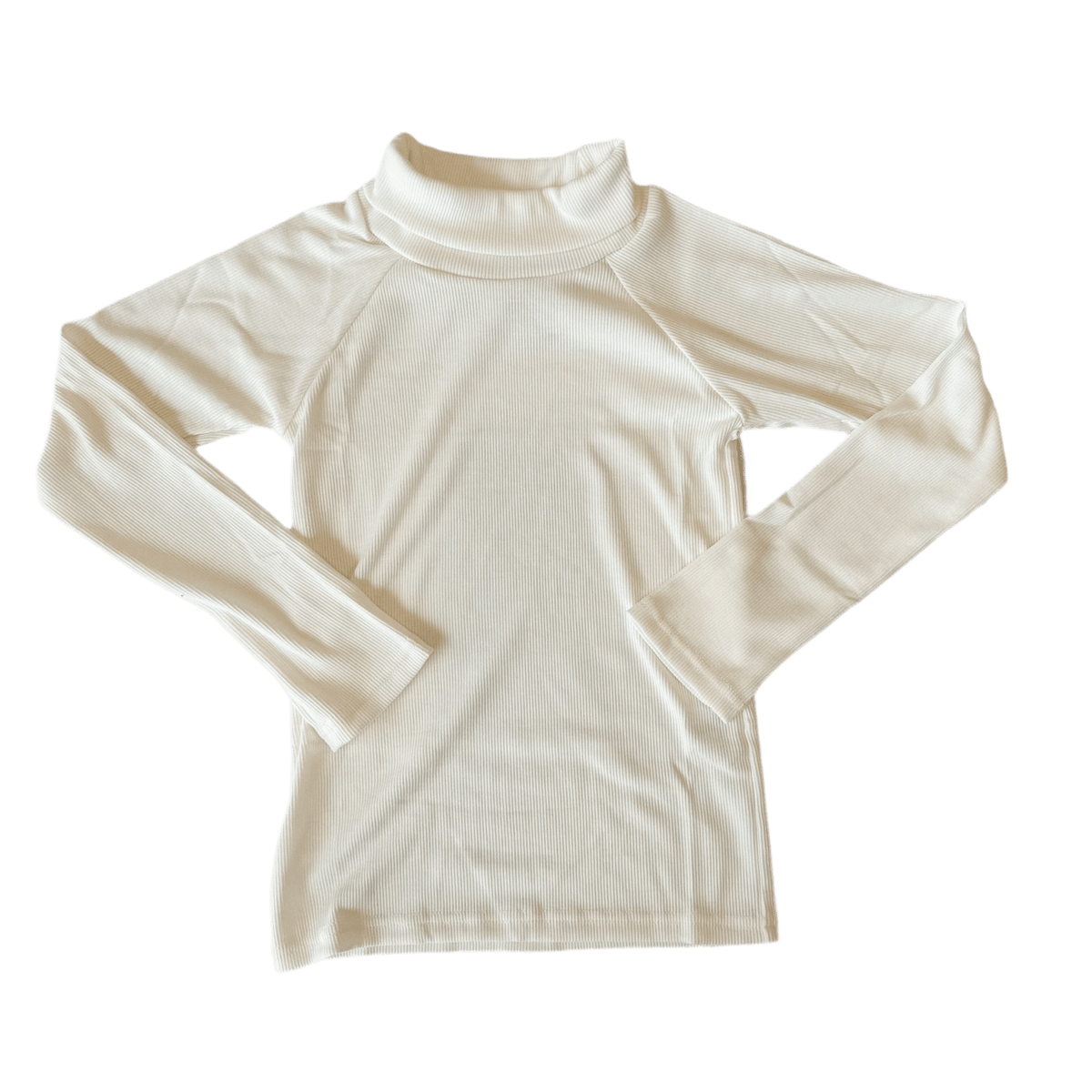 ivory long sleeve turtle neck top