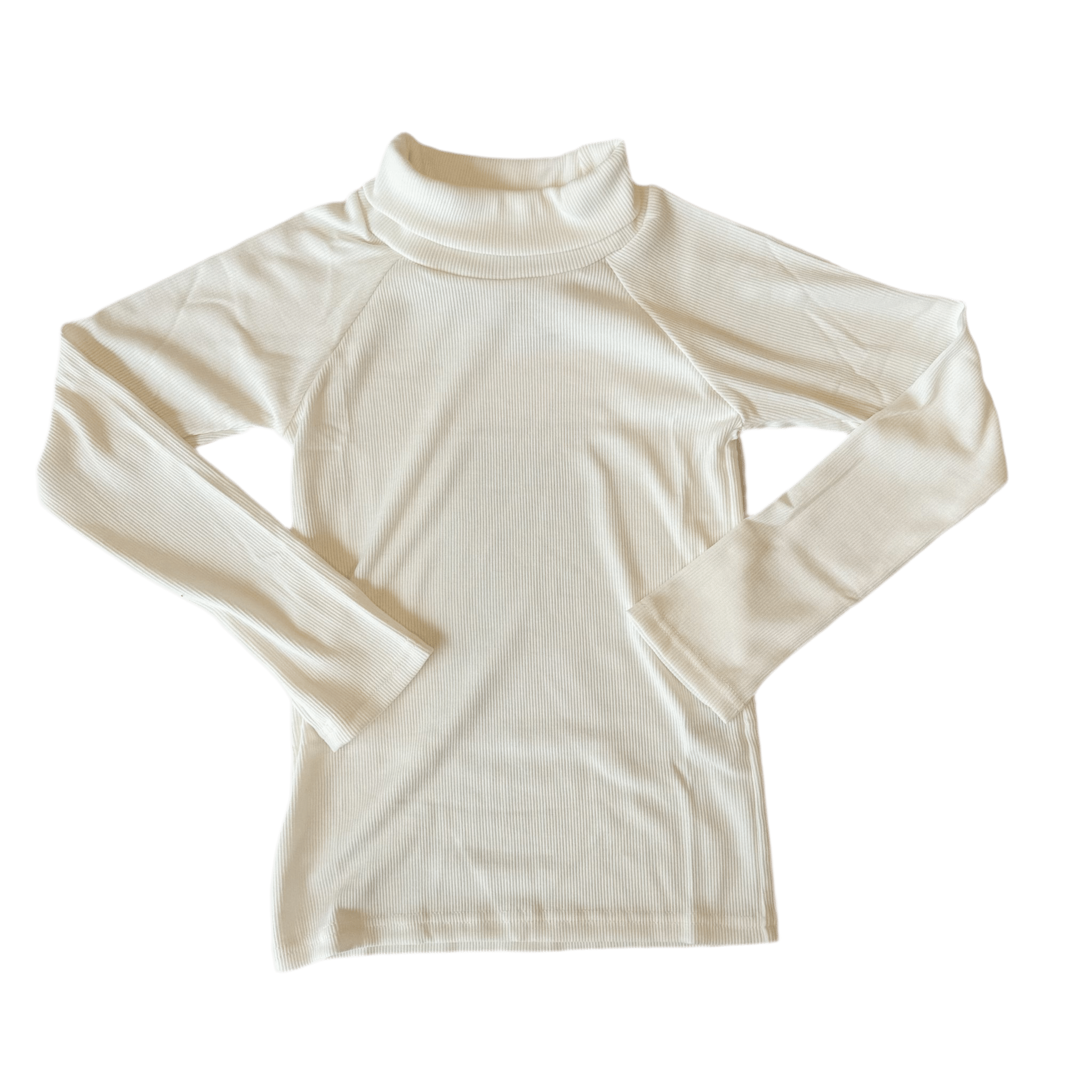 ivory long sleeve turtle neck top