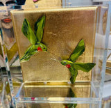 Dana Manly Art Green Hummingbird 6x6 on Gold Leaf In Shadowbox