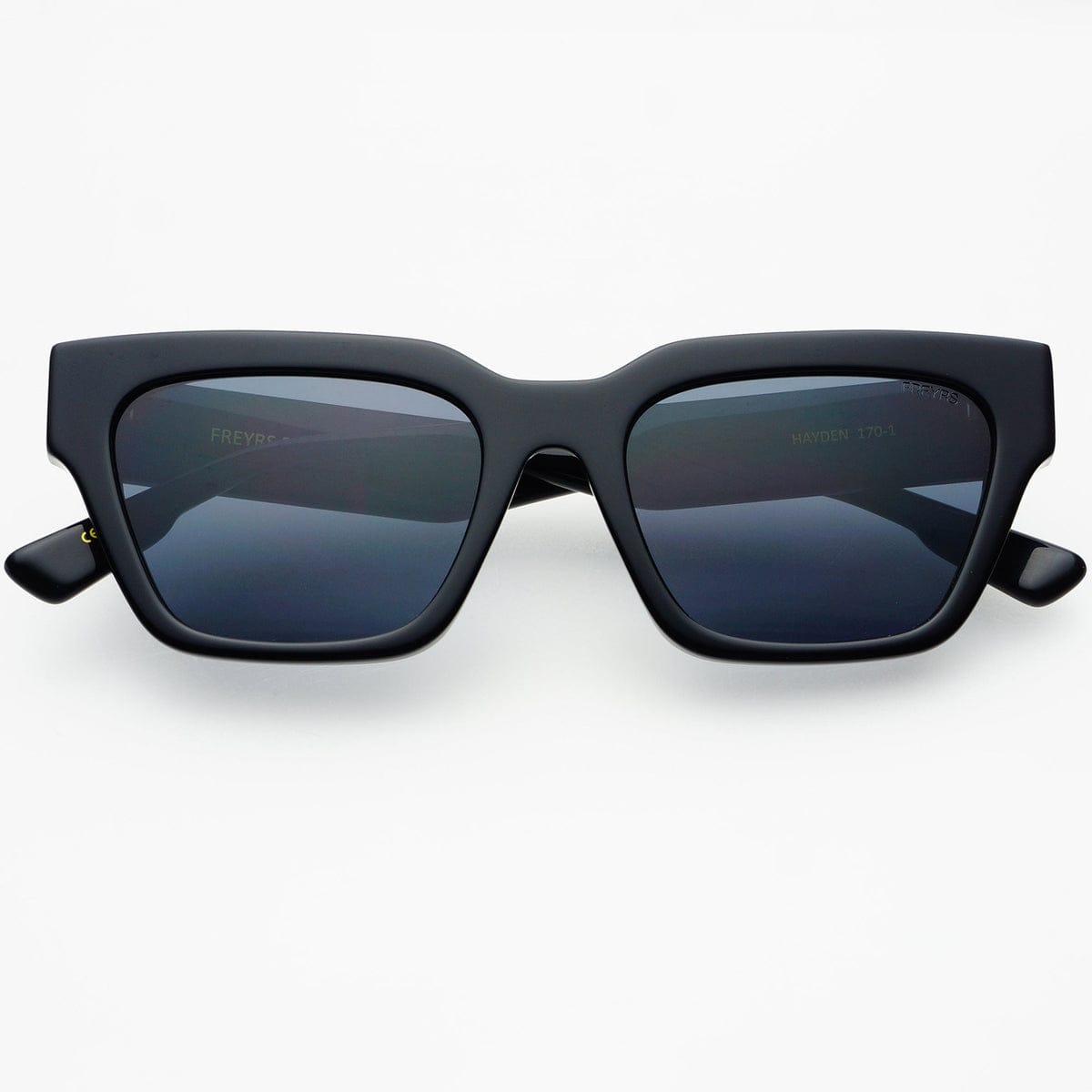 Hayden Acetate Unisex Rectangular Sunglasses
