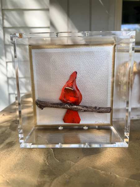 Redbird in Shadowbox 6x6