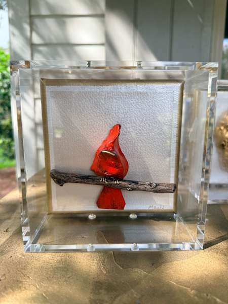 Redbird in Shadowbox 6x6