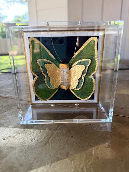 Butterfly in Shadowbox 6x6
