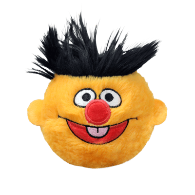 Beanie Bouncer Sesame Street Ernie