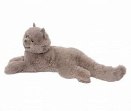 Juliette Grey Persian Cat