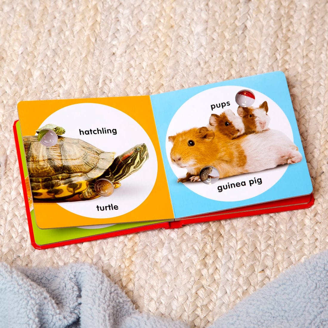 Melissa & Doug Melissa & Doug Poke A Dot Pet Families - Little Miss Muffin Children & Home