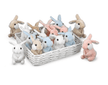 Baby Bunny Hops, 4 Available Colors