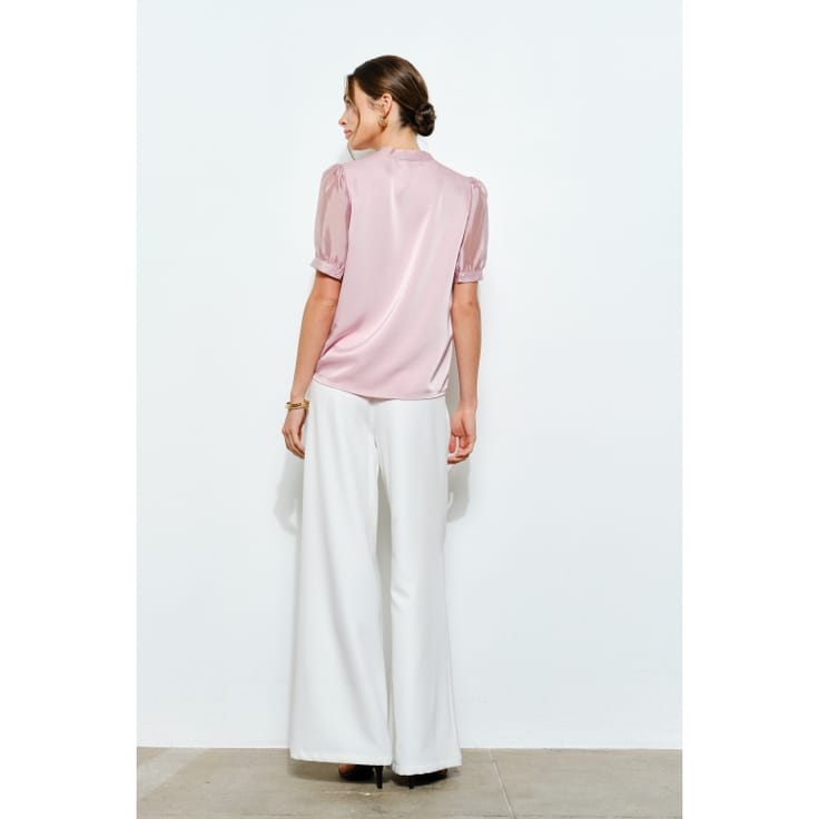 Sheer Sleeve Satin V-Neck Blouse