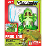 Tangle Tangle Dissect-It Frog Lab - Little Miss Muffin Children & Home