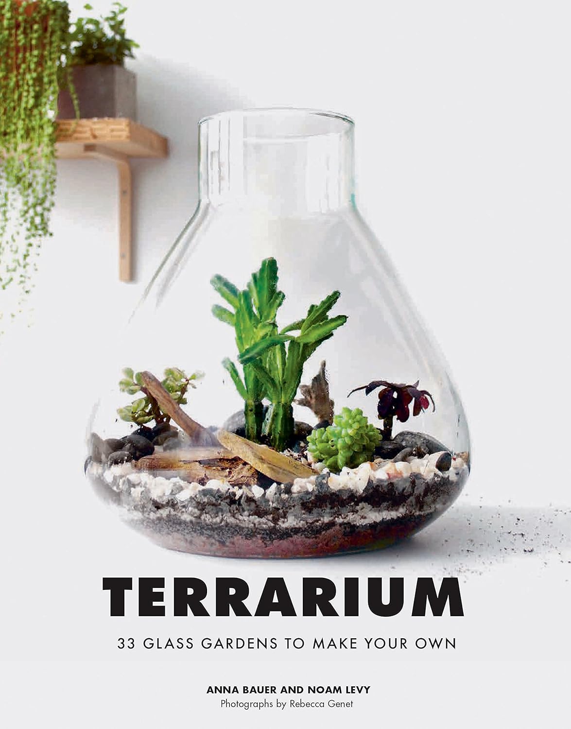 Hachette Book Group Terrarium Book - Little Miss Muffin Children & Home