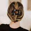 Tortoise Round Flat Hair Clip small