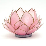 Contrast Inc Capiz Lotus Bulb Candle Holder in Pink