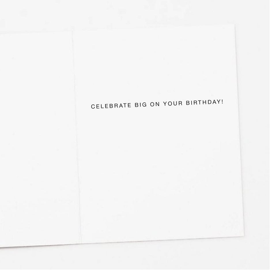 Apartment 2 Cards Apartment 2 Cards Disco Raccoon Birthday Card - Little Miss Muffin Children & Home