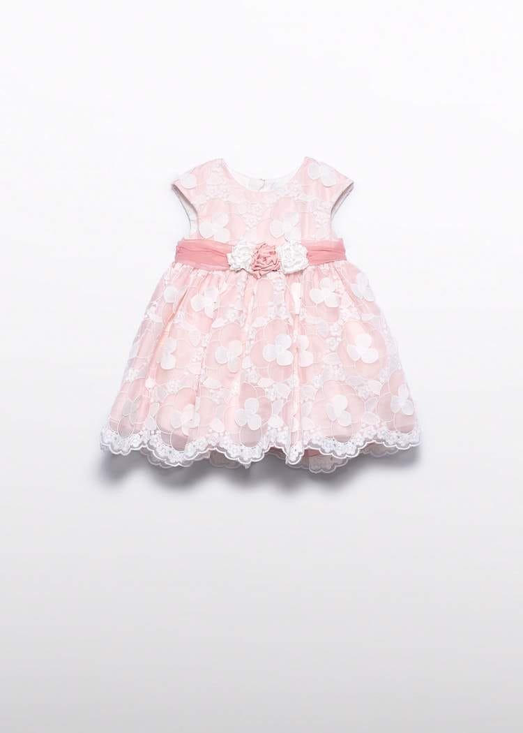 Embroidered Organza Dress with Floral Appliques