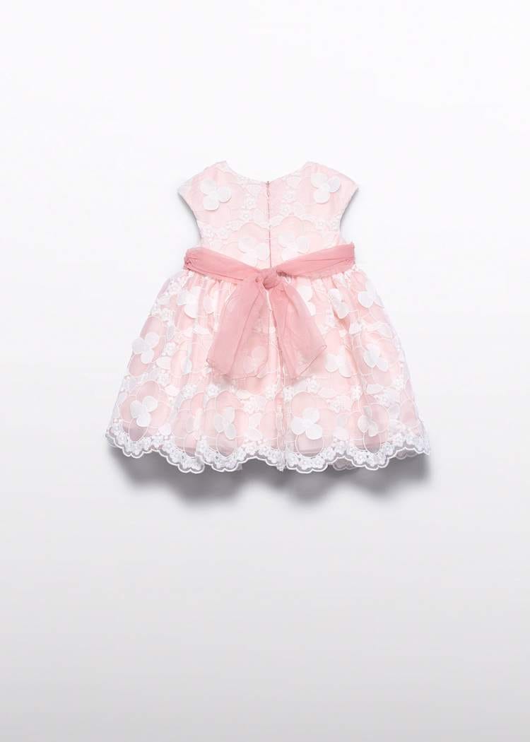 Embroidered Organza Dress with Floral Appliques