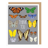 Apartment 2 Cards Colorful Butterflies Thank You Card