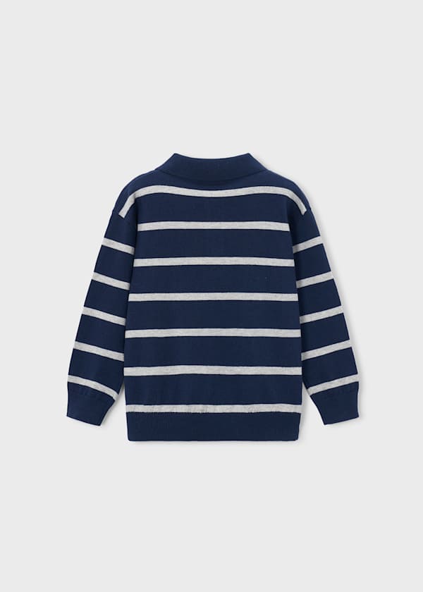 Striped Knit Polo