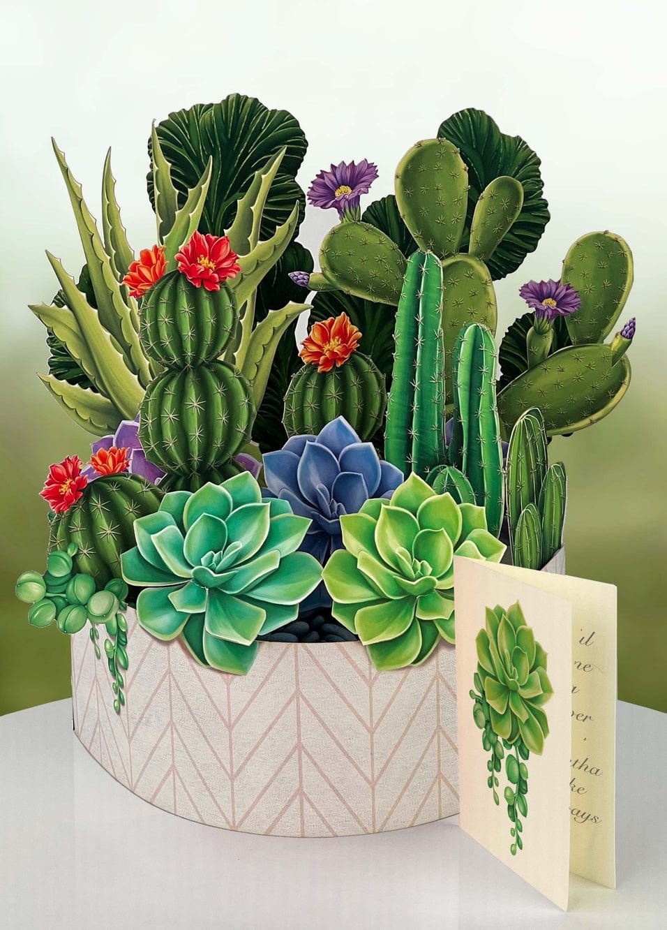 FreshCut Paper FreshCut Paper Cactus Garden Pop-Up Greeting Card - Little Miss Muffin Children & Home