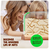 Dan&Darci Ant Farm Kit For Kids, Sand Habitat, Includes Ant Voucher