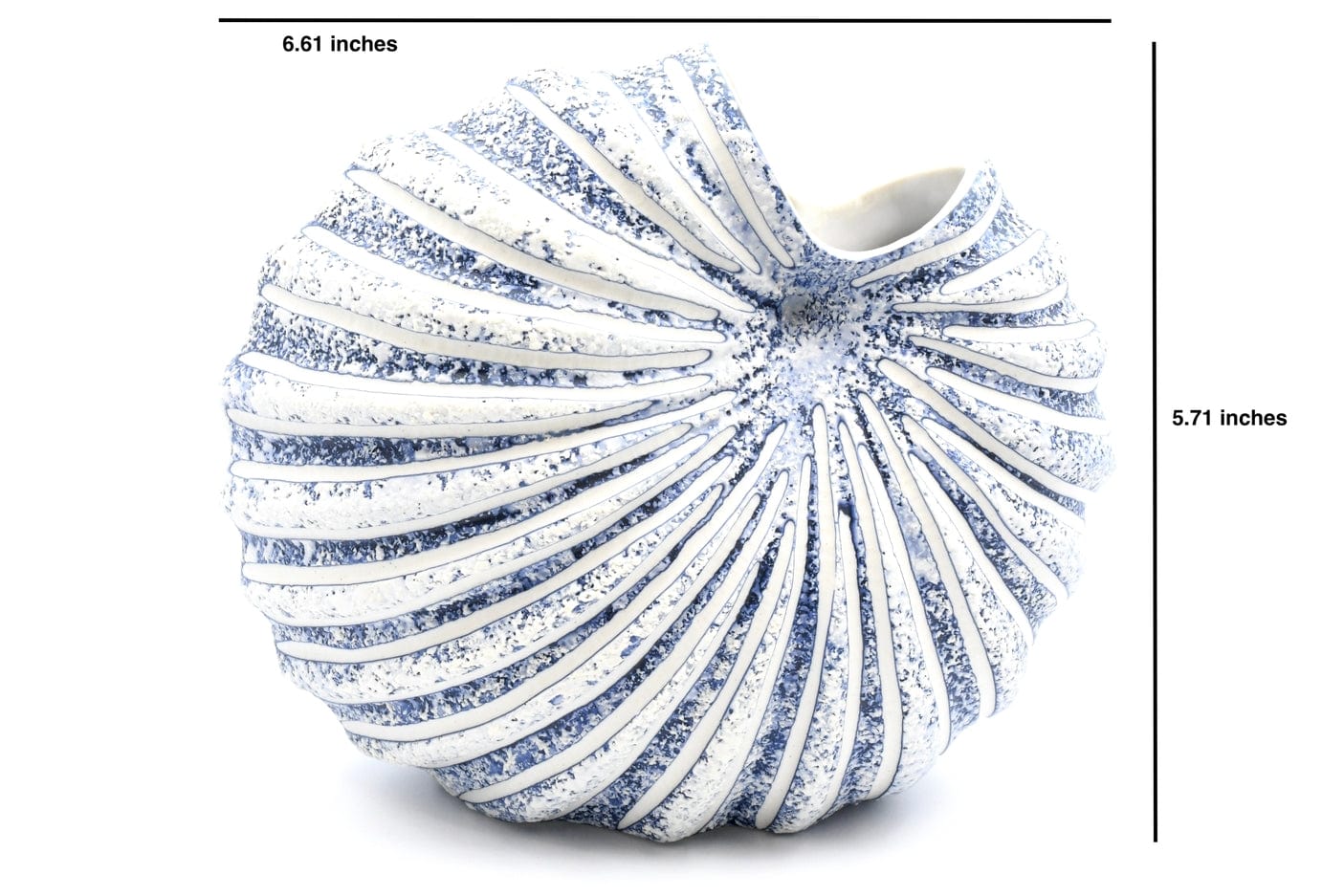 Art Floral Trading Art Floral Trading Palm Cockle Porcelain Ceramic Bud Vase - Little Miss Muffin Children & Home