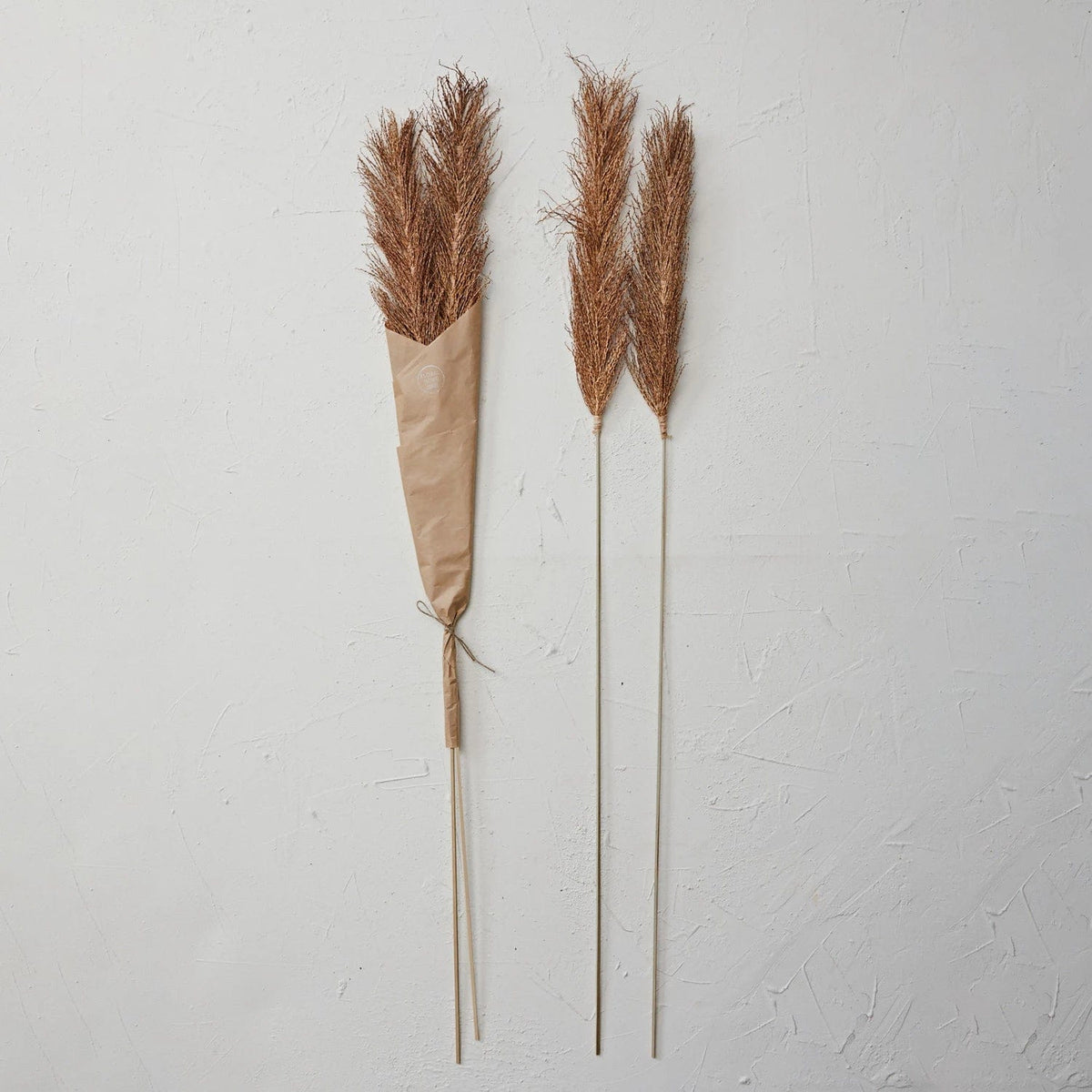 Creative Co-Op Creative Co-op 4 Piece Dried Natural Date Palm Bunch - Little Miss Muffin Children & Home