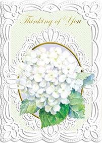 For Arts Sake For Arts Sake White Hydrangeas with Lace Border - Little Miss Muffin Children & Home