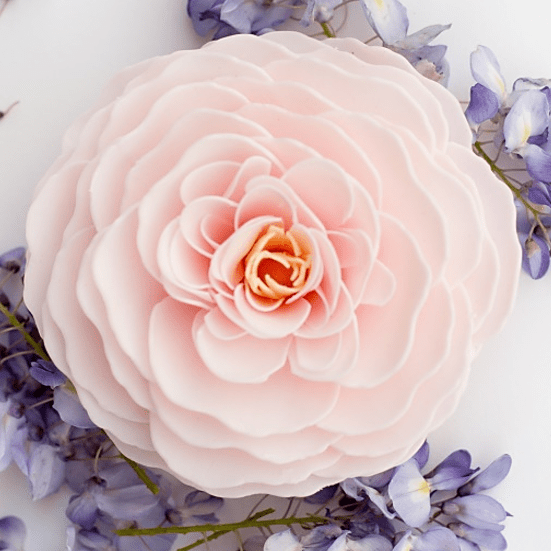 A'marie's Bath Flowers A'marie's Bath Flowers Cherry Blossom Heirloom Rose - Little Miss Muffin Children & Home