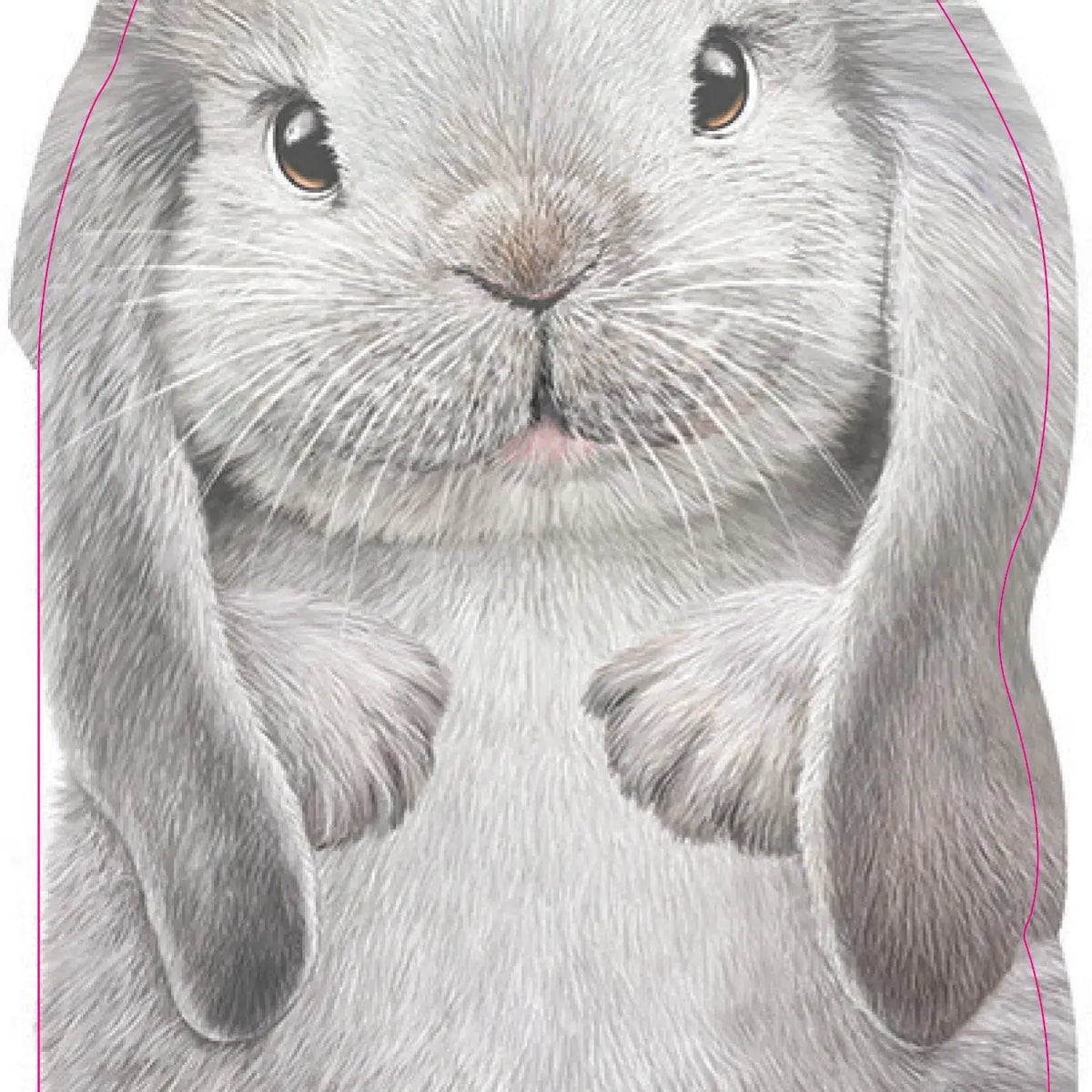 Furry Bunny Board Book