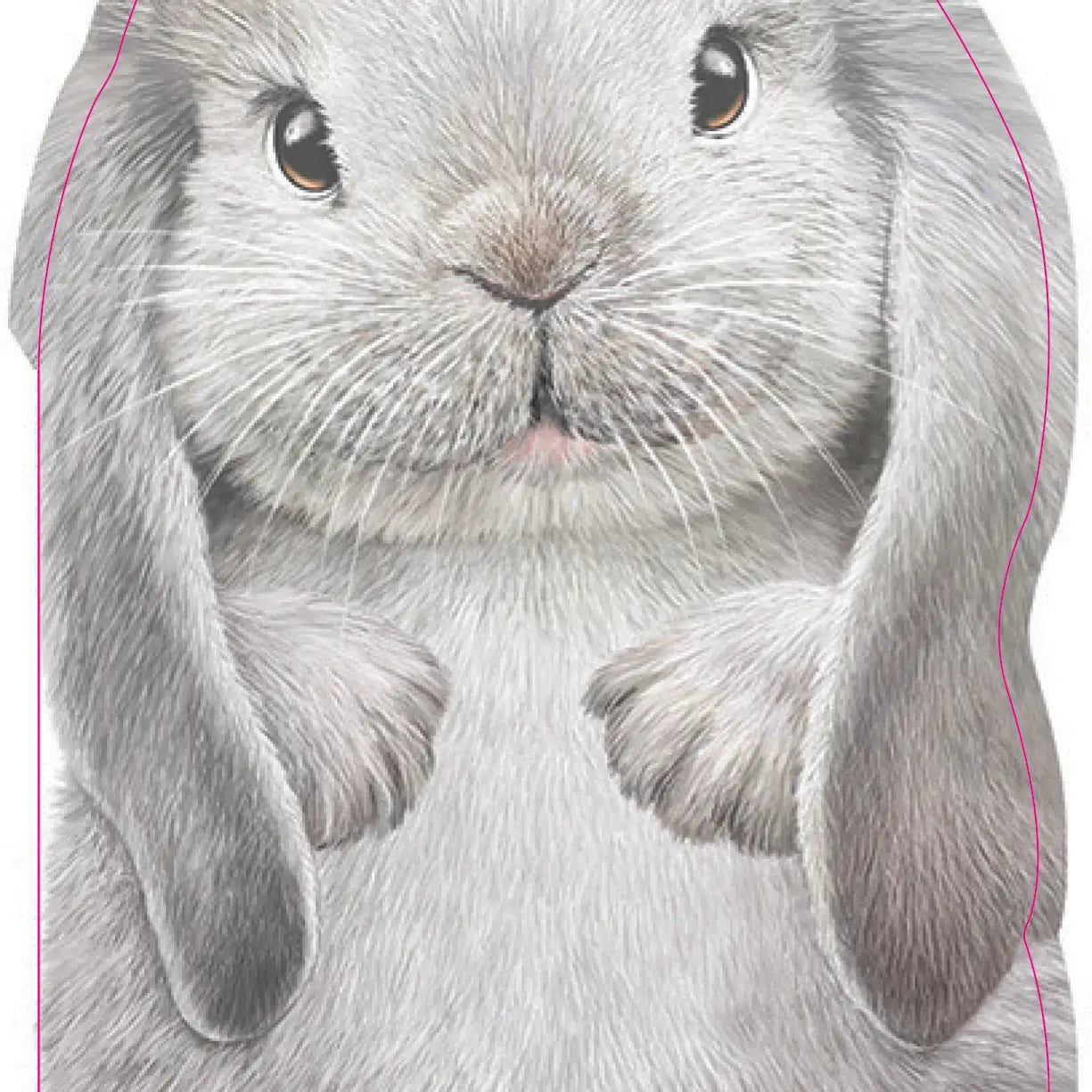 Furry Bunny Board Book