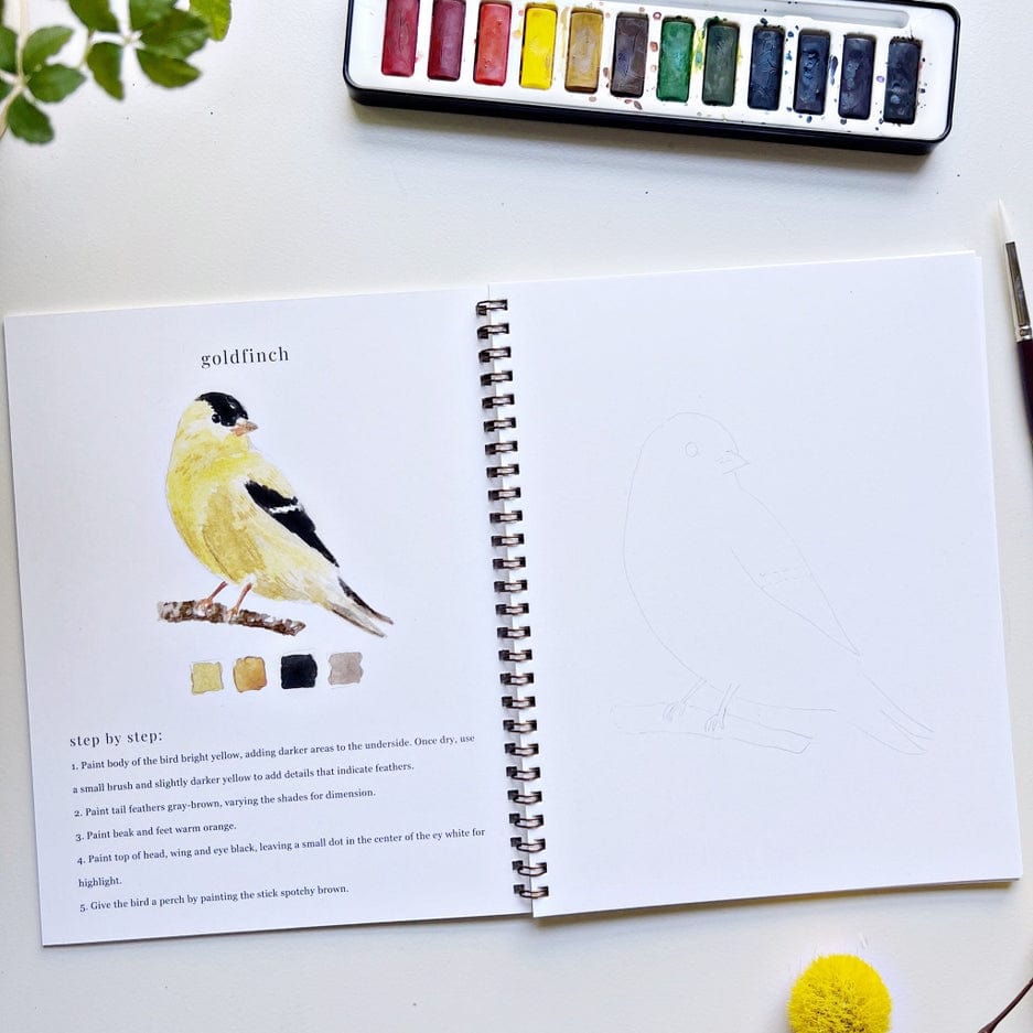 Emily Lex Studio Emily Lex Studio Birds Watercolor Workbook - Little Miss Muffin Children & Home