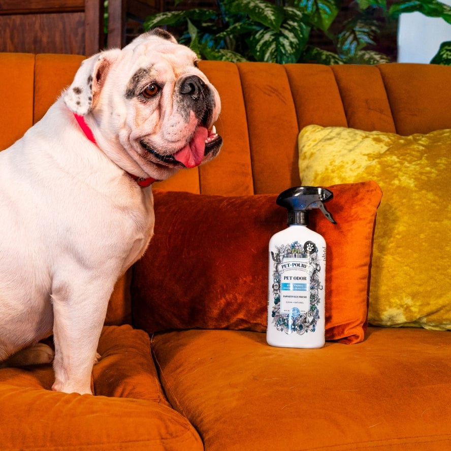 ~Pourri Pet~Pourri Pawsitively Fresh Air+Fabric Odor Refresher 16oz - Little Miss Muffin Children & Home