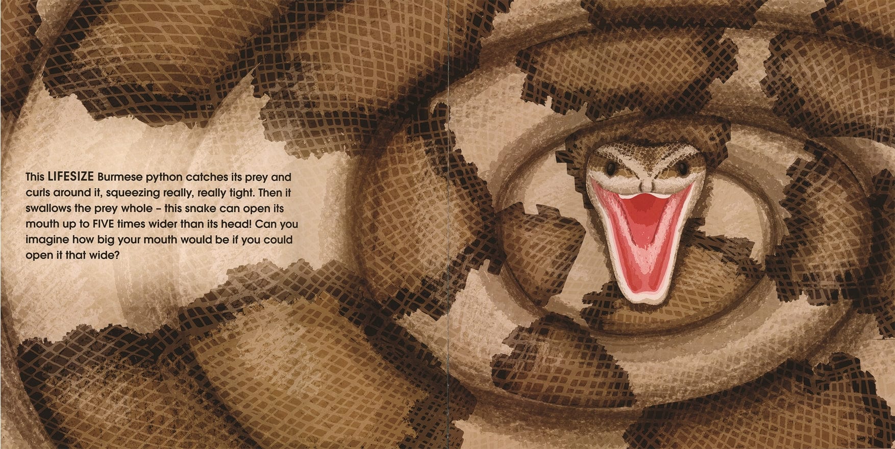 EDC Publishing Lifesize Deadly Animals - Little Miss Muffin Children & Home