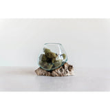 Creative Co-Op Creative Co-op Glass Planter/Vase on Natural Wood Base - Little Miss Muffin Children & Home