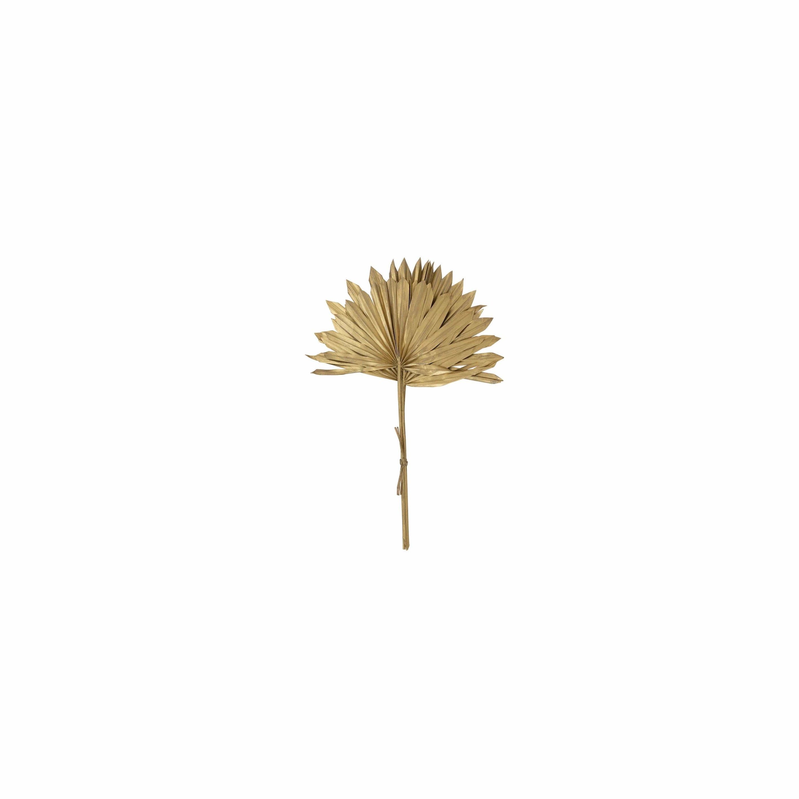 Creative Co-op Creative Co-op 18" Dried Natural Sun Cut Palm Bundle of 3, Gold Finish - Little Miss Muffin Children & Home