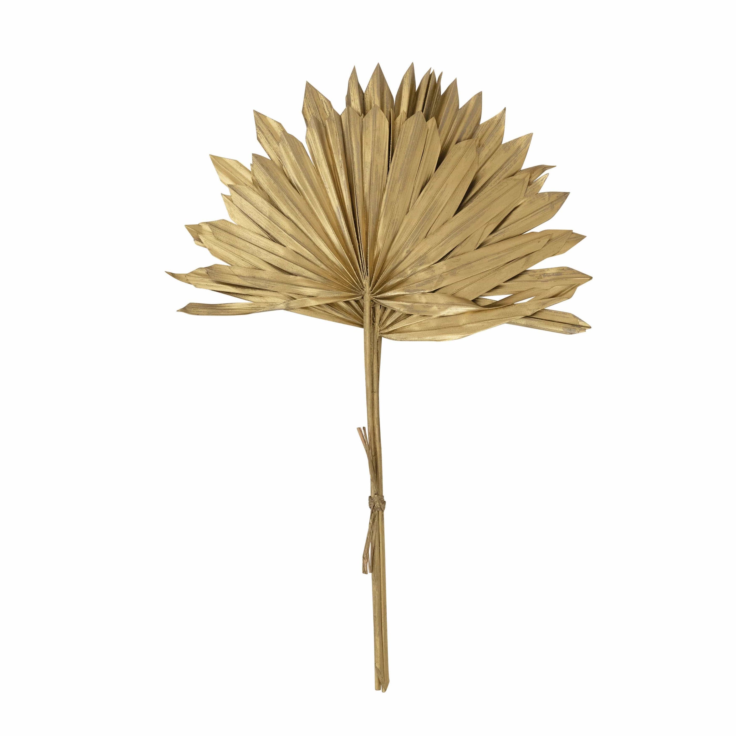 Creative Co-op Creative Co-op 18" Dried Natural Sun Cut Palm Bundle of 3, Gold Finish - Little Miss Muffin Children & Home