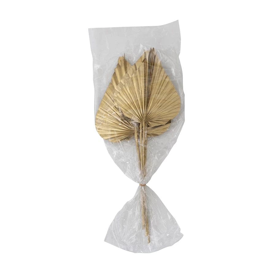 Creative Co-op Creative Co-op Dried Natural King Palm Spear Bundle of 5, Gold Finish - Little Miss Muffin Children & Home