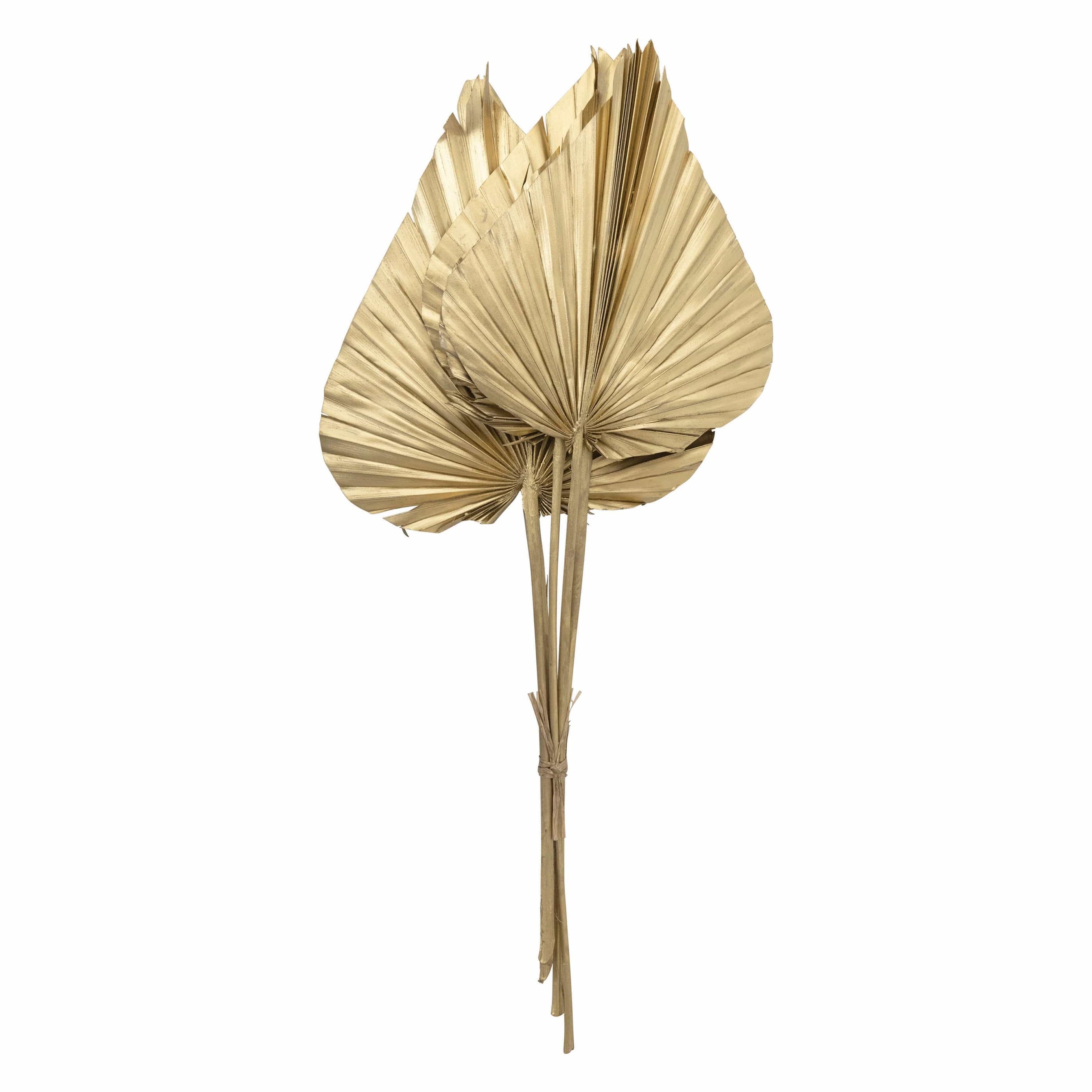 Creative Co-op Creative Co-op Dried Natural King Palm Spear Bundle of 5, Gold Finish - Little Miss Muffin Children & Home