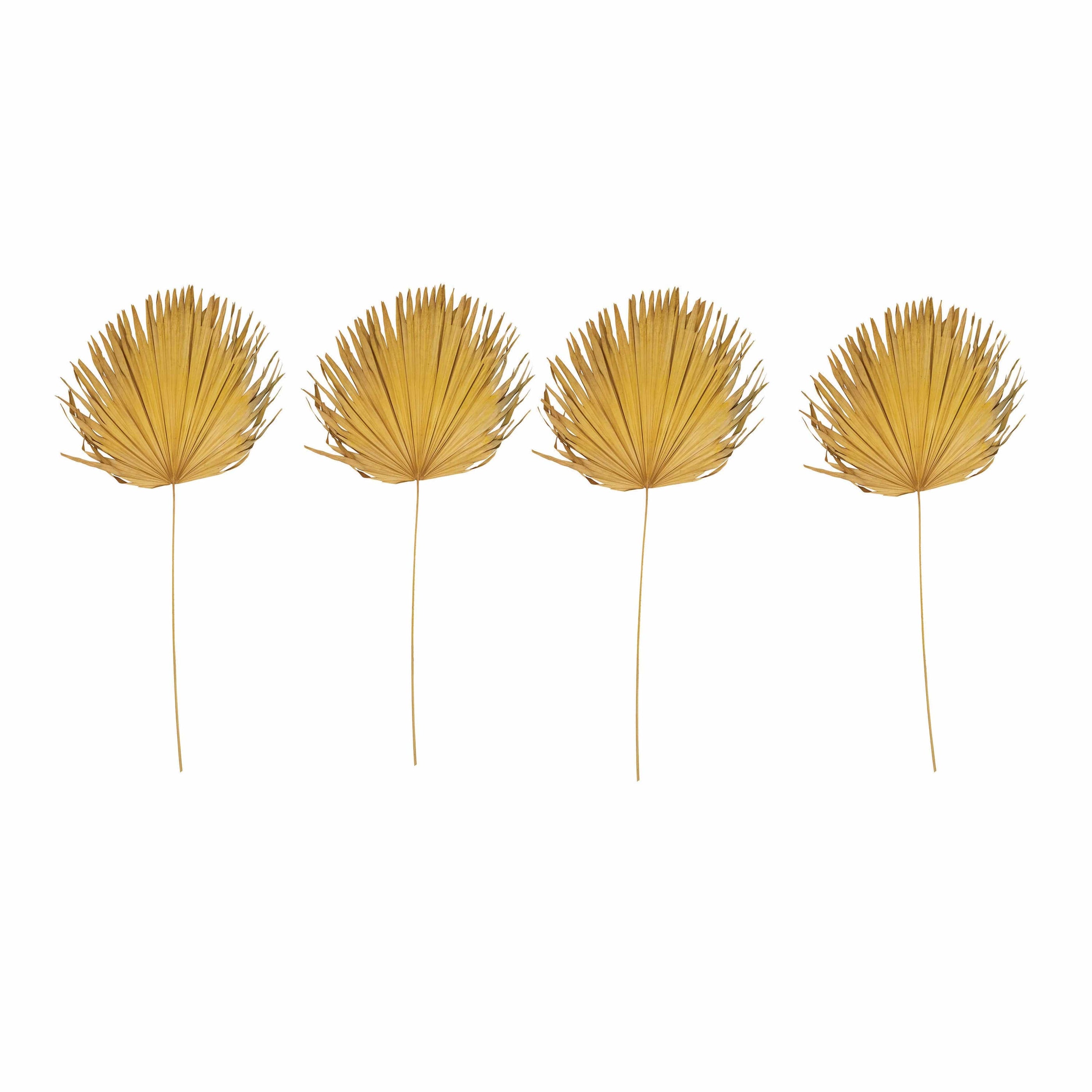 Creative Co-op Creative Co-op 44"-48"H Anahaw Dried Palm Leaf, Yellow (Each One Will Vary) - Little Miss Muffin Children & Home
