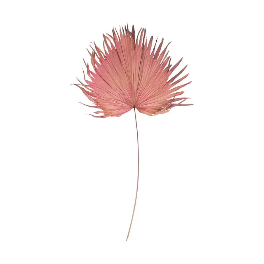 Creative Co-op Creative Co-op 44"-48"H Anahaw Dried Palm Leaf, Pink (Each One Will Vary) - Little Miss Muffin Children & Home