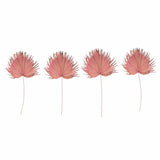 Creative Co-op 44"-48"H Anahaw Dried Palm Leaf, Pink (Each One Will Vary)