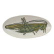 Creative Co-Op Creative Co-op Hand-Painted Stoneware Plate with Grasshopper - Little Miss Muffin Children & Home