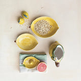 Creative Co-op Hand-Painted Stoneware Lemon Salt & Pepper Shakers (Each One Will Vary)